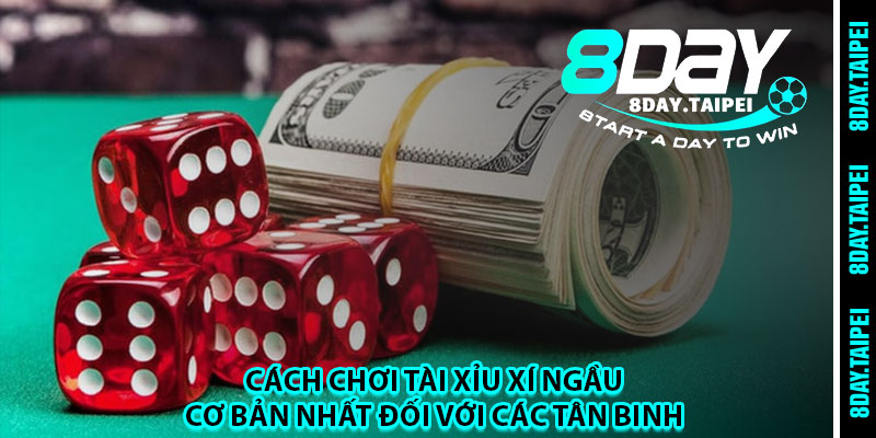 Cách chơi tài xỉu xí ngầu cơ bản nhất đối với các tân binh 