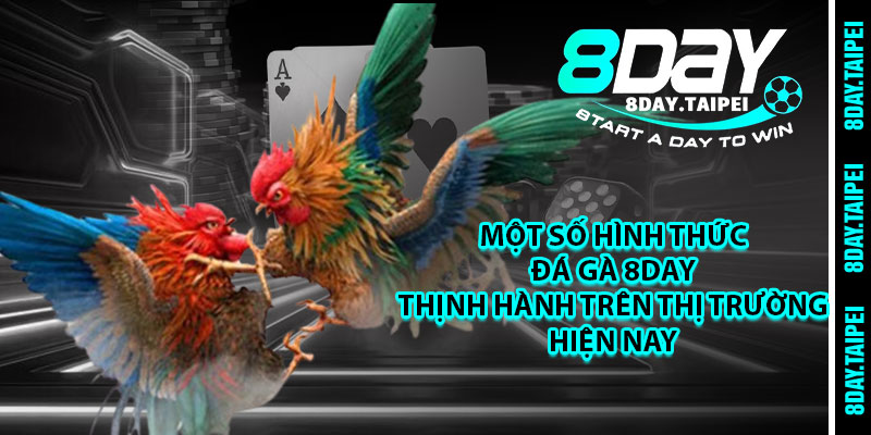 Một số hình thức đá gà 8day thịnh hành trên thị trường hiện nay 