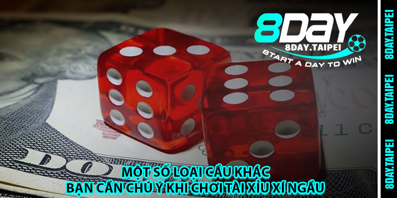 Một số loại cầu khác bạn cần chú ý khi chơi tài xỉu xí ngầu 