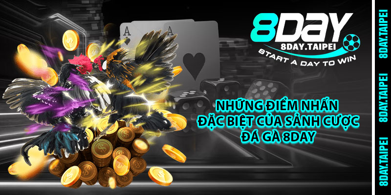 Những điểm nhấn đặc biệt của sảnh cược đá gà 8day 