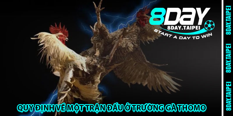 Quy định về một trận đấu ở trường gà Thomo 