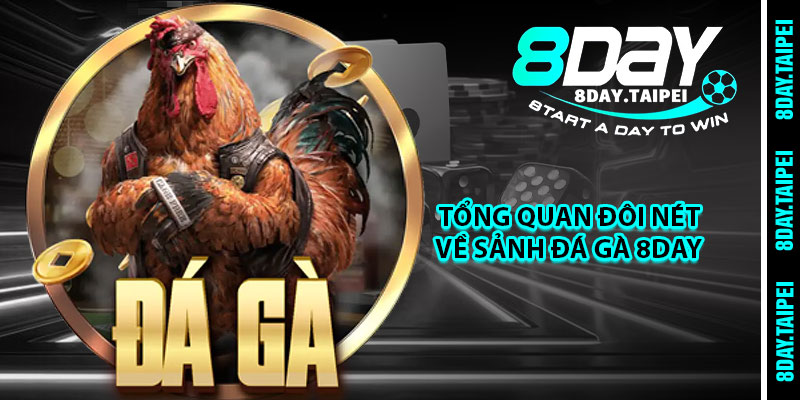 Tổng quan đôi nét về sảnh đá gà 8day 